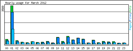 Hourly usage