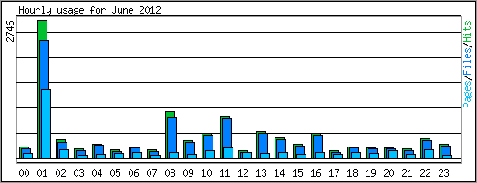 Hourly usage