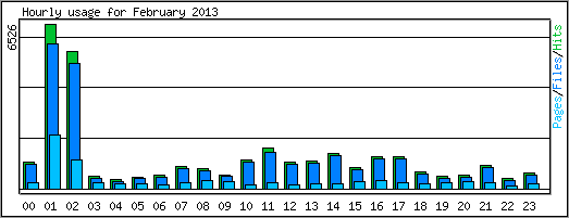 Hourly usage