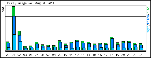 Hourly usage