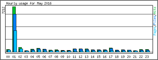 Hourly usage