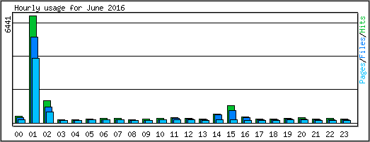 Hourly usage