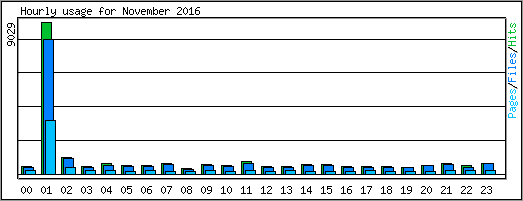 Hourly usage