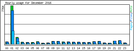 Hourly usage