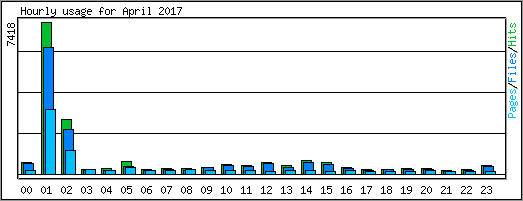 Hourly usage