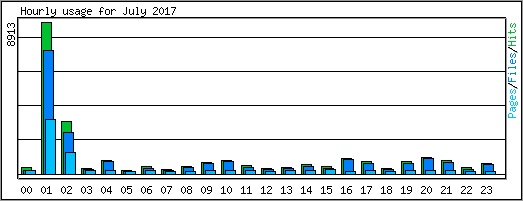 Hourly usage