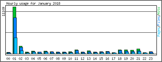 Hourly usage