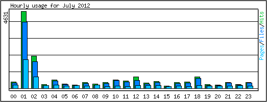 Hourly usage