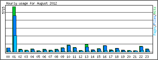 Hourly usage