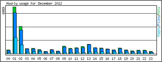 Hourly usage