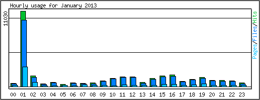 Hourly usage