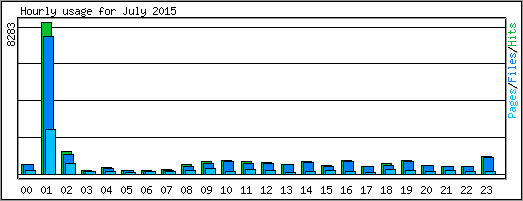 Hourly usage