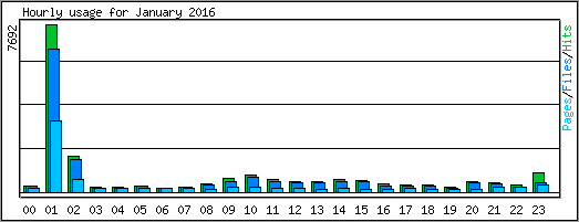 Hourly usage