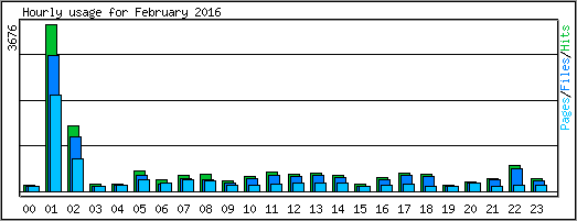 Hourly usage