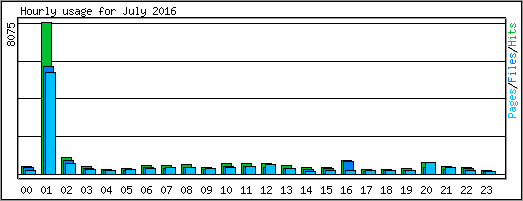 Hourly usage