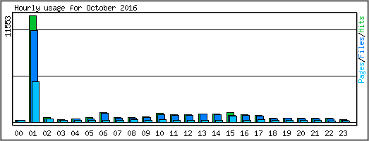 Hourly usage