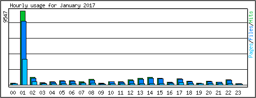 Hourly usage