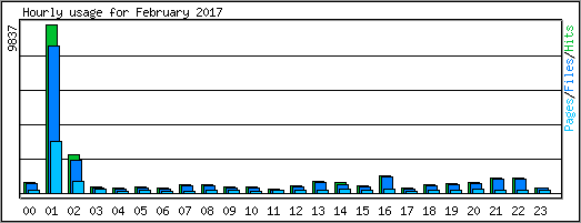 Hourly usage