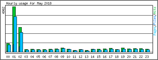 Hourly usage