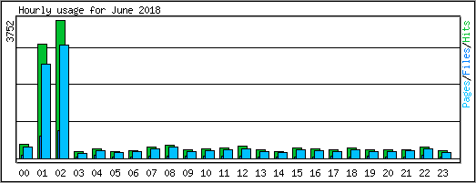 Hourly usage